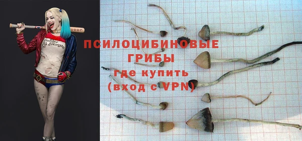 эйфоретик Алексин