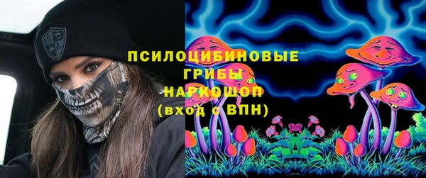 эйфоретик Алексин