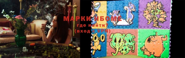 a pvp Алзамай