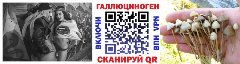 кракен сайт  закладка  Лихославль  Галлюциногенные грибы Psilocybe 